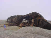 4. The wreck of the Aristra. Jeremy spun a story about it running aground the previous night.