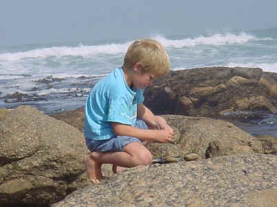 9. Dieter engrossed in the rock pools.