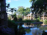 Looking out from our room at the Kingdom Lodge.