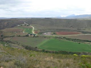 P1000398