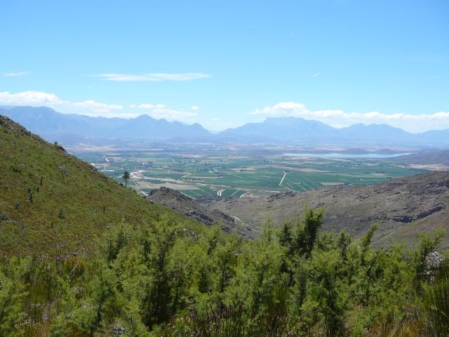 P1000042