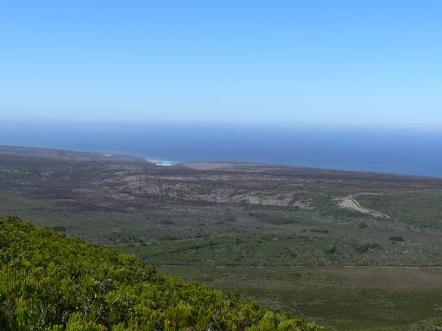 P1000727