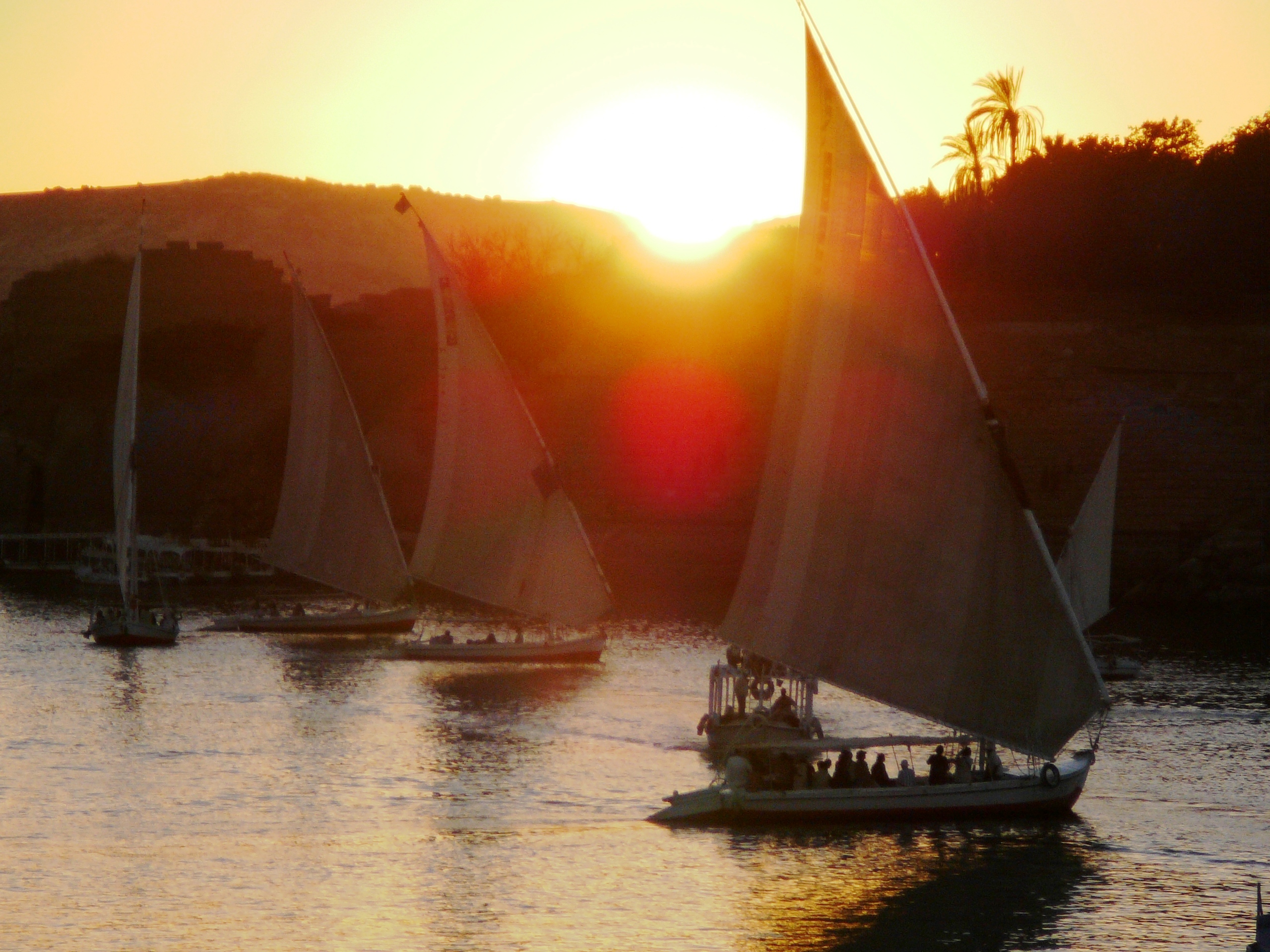 2010-01-01-17h03m27.P1010630 Aswan