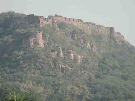 DSCN7160 Ranthambore Fort