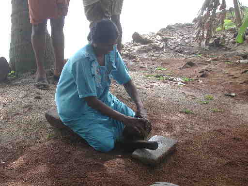 DSCN7480 Coir producing island