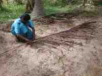 DSCN7486 Weaving palm leaves for roof coverings